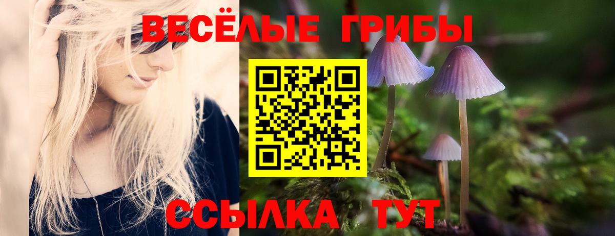 Галлюциногенные грибы мицелий  Вход с VPN  Шарыпово 
